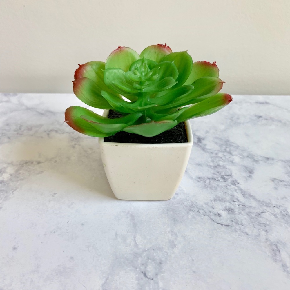 Faux Succulent Mini Plant - Picture 2 of 3